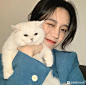 【图片】[女头]_女头吧_百度贴吧