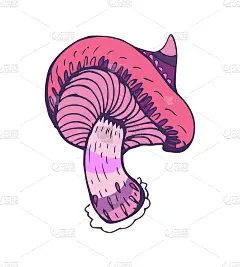 白色背景上神奇蘑菇的幻想装饰图标。手绘的概念。矢量插图。