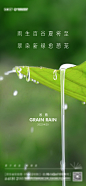 雨水谷雨白露荷叶海报-设计素材-shejisc.cn