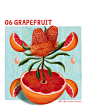 Food and plants 06_野二夏