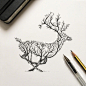动物和自然的结合，插画师 Alfred Basha ​​​​