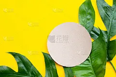 空白的棕色圆纸上的怪物美味liebm叶黄色