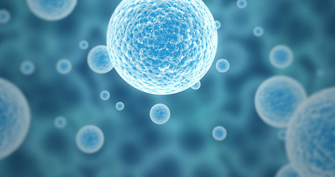 “cell therapy”的图片搜索结...