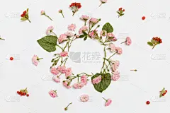 边框,圆形,白色背景,视角,平铺,顶部,贺卡,水平画幅,形状,纺织品
