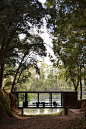 A Bridge-Like Pavilion In The Woods By Alarcia Ferrer Arquitectos | iGNANT.de: 
