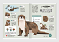 水獺 雜誌