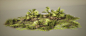 Bayou - Foliage Study 
