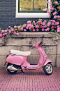 Europe Photography Pink Scooter and Roses Fine by GeorgiannaLane