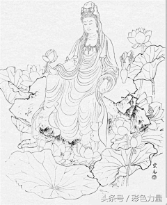 XJmf2eIM采集到工笔