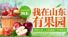 Durian·Pineapple采集到食品直通车钻展banner