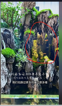 用户iyMwPVgD采集到龟缸