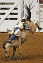 Chris Harris rides a 79 score on his bareback bronc ride. Fort Worth