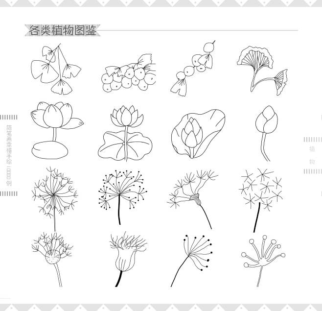 《简笔画幸福手绘10000例》植物 (3...