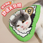 伊丽莎白圈猫咪围脖头套防舔防水神器耻辱圈小狗脖圈宠物绝育项圈