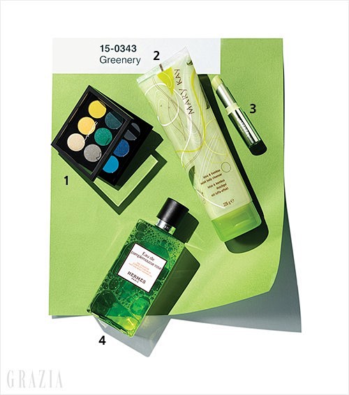 Color Your Face 이미지 ...