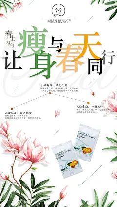 微商/茶小雄/减肥瘦身/平面海报