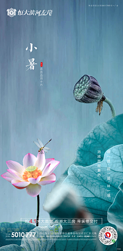 林夕梦-采集到（地产）节日-节气