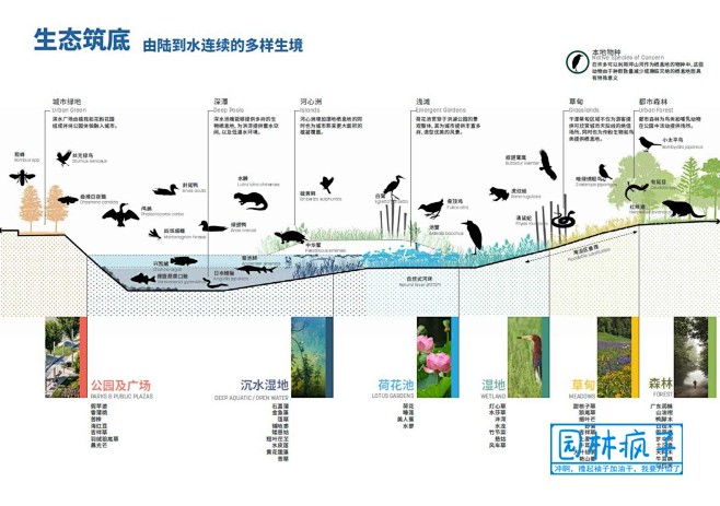 WB239河道景观改造滨水公园一河两岸深...