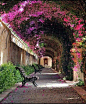 When you plan an exciting trip to Barcelona, Spain ?