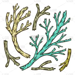 枝,矢量,分离着色,柴火,自然界的状态,背景分离,棍,儿童,植物