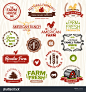 Set of vintage and modern farm logo labels and designs