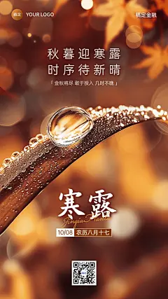 寒露金融保险节气祝福问候实景风手机海报