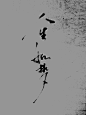 花落雨纷飞
