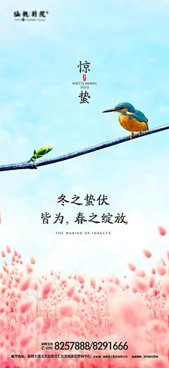 【源文件下载】 海报 房地产 惊蛰 二十四节气 小鸟