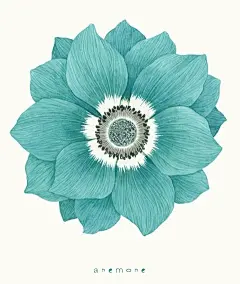 水彩手绘 花碎花 田园墙纸 背景素材平铺 iPhone壁纸