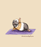 Lesley DeSantis创意插画:一起来和小豚鼠做瑜伽吧
