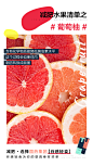 减肥代餐棒创意海报——减肥水果清单
Design：
SANBENSTUDIO三本品牌设计工作室
WeChat：Sanben-Studio / 18957085799
公众号：三本品牌设计工作室64951
