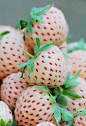 菠萝莓 外形喜人滋味好，很快会成为人们餐桌上的新水果。除了直接食用、榨汁以及与酸奶混合食用外，人们还可用它制作“菠萝莓”奶油蛋白甜饼或其他甜品。
