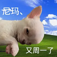 表情包分享｜好姐妹、好姐妹 - 小红书