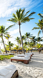 Tour to Dominican Republic - cute image