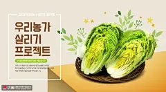 大白菜海报