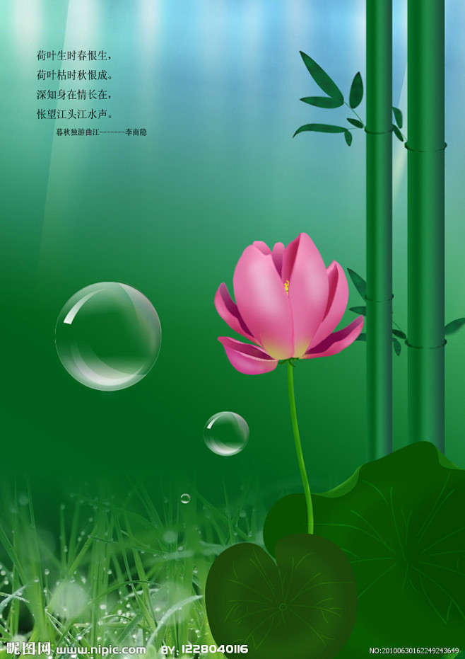 竹子荷花