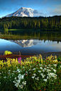 Spring Sunrise, Mt. Rainier, Washington
