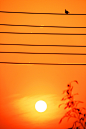投稿作品：夕阳影像