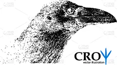 乌鸦,粒子,插画,摆拍,野生动物,动物,鸟类,剪影,愤怒
