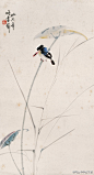 张书旂（1899--1956），浙江浦江人，原名世忠，字以行，别号七庐居士，室名小松山庄，是享誉中外的 花鸟画家。他勤于写生，工于设色，画风浓丽秀雅，别具一格，自成一派。