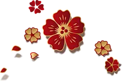 牡丹花 农历新年传统年画迎新PNG免扣素材
