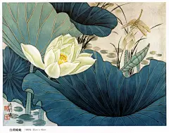 白荷蜻蜓
金鸿钧作品欣赏1977至2008