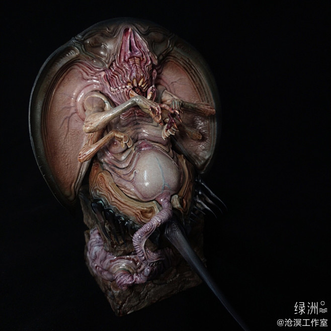 沧溟工作室的照片 - 微相册