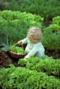 granite paths, veggie garden