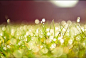 untitled、意境、阳光 sunshine、阳光、温暖
