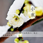 小寒 