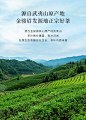 八马茶叶 金骏眉红茶武夷山桐木关金骏眉小罐散装自饮茶叶80克-tmall.com天猫