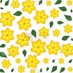 自然美,叶子,式样,仅一朵花,背景,生物学,有机食品,自然,摆拍,环境