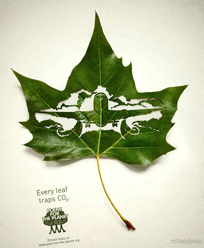 保护动植物的公益海报设计