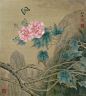 好吧，芙蓉花